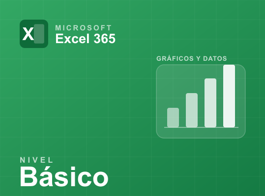Microsoft Excel 365 Nivel Básico
